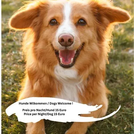 Daire In Schwanenstadt *